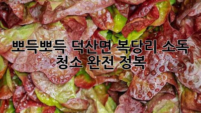 ✨ 뽀득뽀득! 덕산면 복당리 소독 청소 완전 정복 🧹🧼