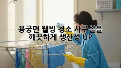 용궁면 웰빙 청소✨ 사무실을 깨끗하게! 생산성 UP! 🚀